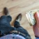 paying money